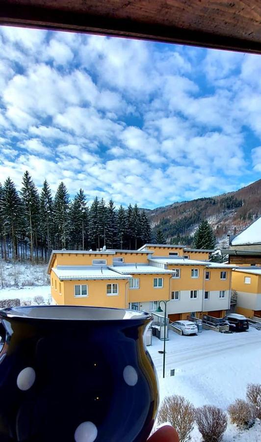 Ferienwohnung Bergspass Gaming Luaran gambar