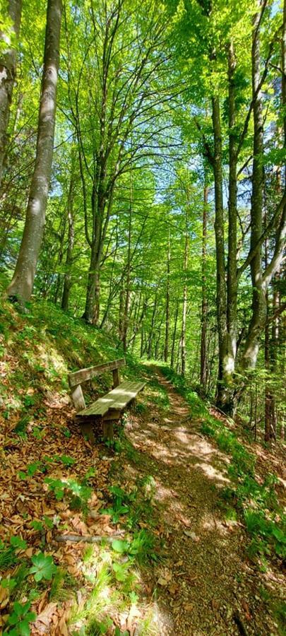 Ferienwohnung Bergspass Gaming Luaran gambar