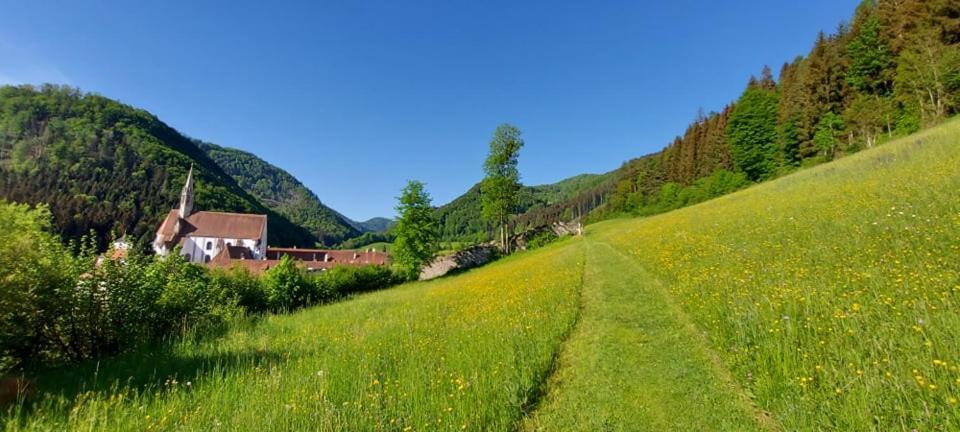 Ferienwohnung Bergspass Gaming Luaran gambar